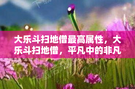 大乐斗扫地僧最高属性，大乐斗扫地僧，平凡中的非凡人生