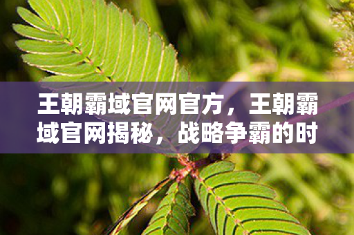 王朝霸域官网官方，王朝霸域官网揭秘，战略争霸的时代已经来临！
