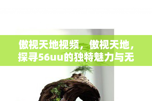 傲视天地视频，傲视天地，探寻56uu的独特魅力与无限可能