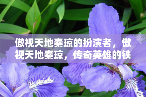 傲视天地秦琼的扮演者，傲视天地秦琼，传奇英雄的铁血传奇故事