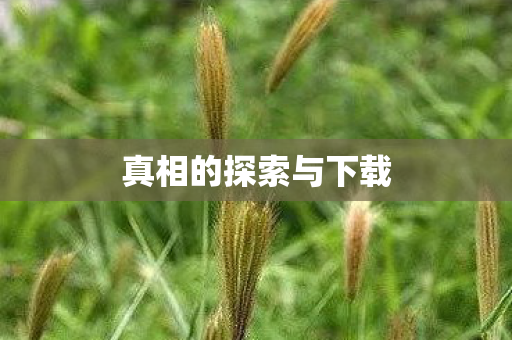 真相的探索与下载