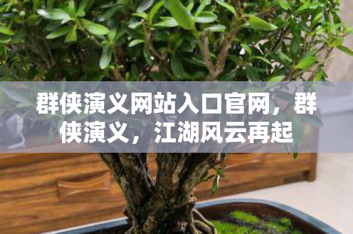 群侠演义网站入口官网，群侠演义，江湖风云再起