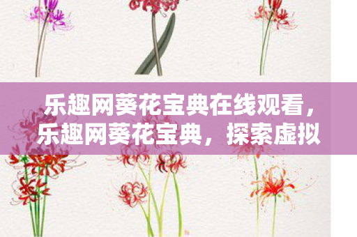 乐趣网葵花宝典在线观看，乐趣网葵花宝典，探索虚拟世界的无尽乐趣