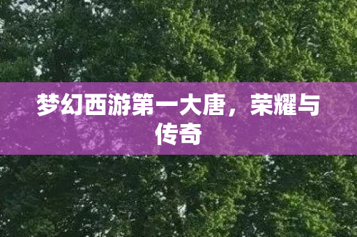 梦幻西游第一大唐，荣耀与传奇