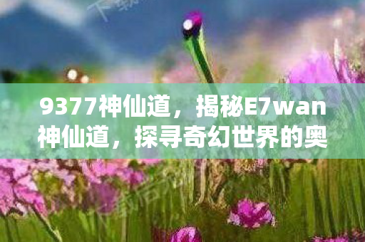 9377神仙道，揭秘E7wan神仙道，探寻奇幻世界的奥秘
