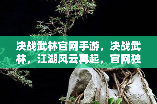 决战武林官网手游，决战武林，江湖风云再起，官网独家揭秘
