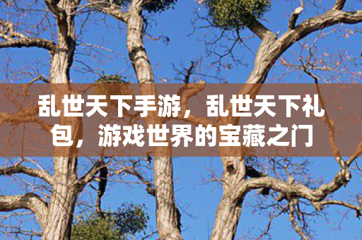 乱世天下手游，乱世天下礼包，游戏世界的宝藏之门