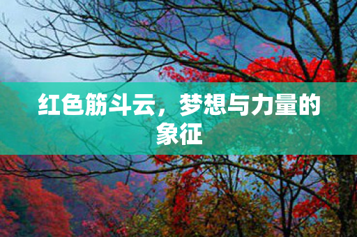 红色筋斗云，梦想与力量的象征