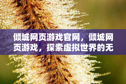 倾城网页游戏官网，倾城网页游戏，探索虚拟世界的无尽魅力