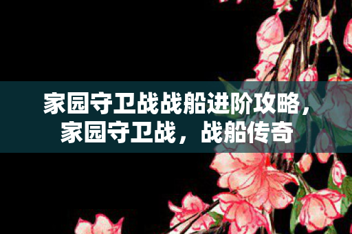 家园守卫战战船进阶攻略，家园守卫战，战船传奇