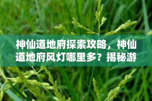 神仙道地府探索攻略，神仙道地府风灯哪里多？揭秘游戏中的隐藏秘密