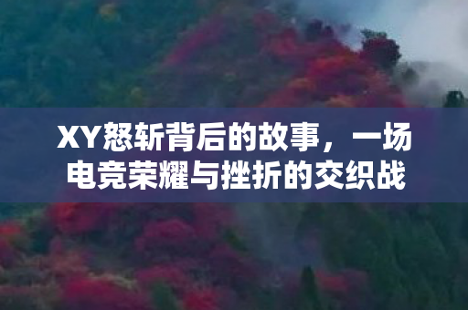 XY怒斩背后的故事，一场电竞荣耀与挫折的交织战