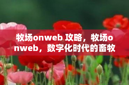牧场onweb 攻略，牧场onweb，数字化时代的畜牧业革新之路