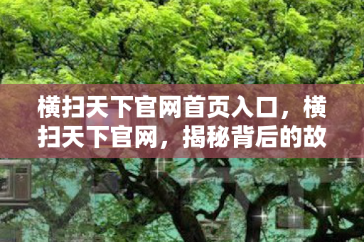 横扫天下官网首页入口，横扫天下官网，揭秘背后的故事与独特魅力
