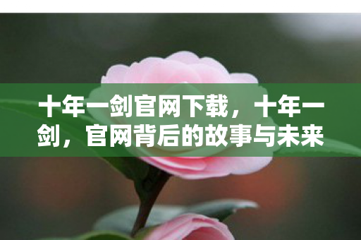 十年一剑官网下载，十年一剑，官网背后的故事与未来展望