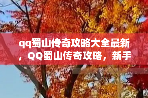 qq蜀山传奇攻略大全最新，QQ蜀山传奇攻略，新手入门指南与进阶秘籍