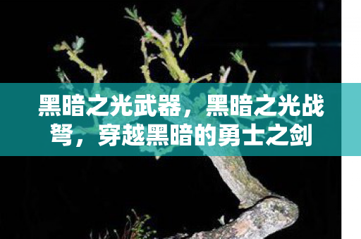 黑暗之光武器，黑暗之光战弩，穿越黑暗的勇士之剑