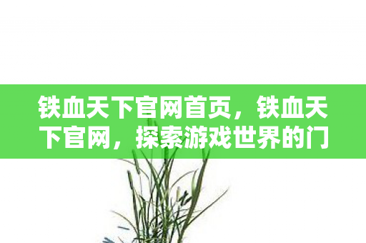 铁血天下官网首页，铁血天下官网，探索游戏世界的门户