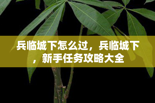 兵临城下怎么过，兵临城下，新手任务攻略大全