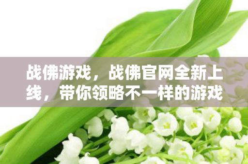 战佛游戏，战佛官网全新上线，带你领略不一样的游戏世界！
