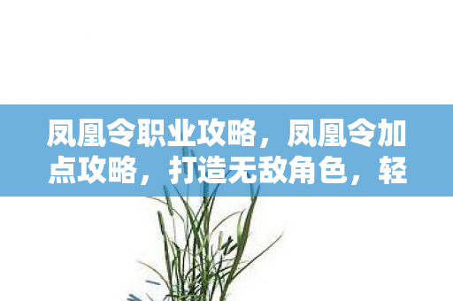 凤凰令职业攻略，凤凰令加点攻略，打造无敌角色，轻松登顶排行榜