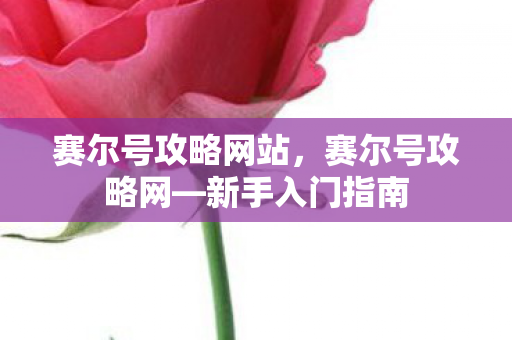 赛尔号攻略网站，赛尔号攻略网—新手入门指南