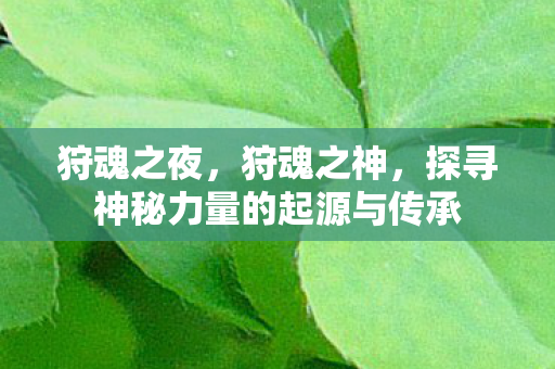 狩魂之夜，狩魂之神，探寻神秘力量的起源与传承