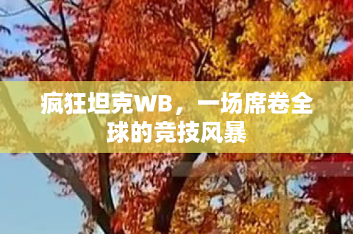 疯狂坦克WB，一场席卷全球的竞技风暴