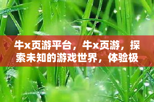 牛x页游平台，牛x页游，探索未知的游戏世界，体验极致的游戏乐趣