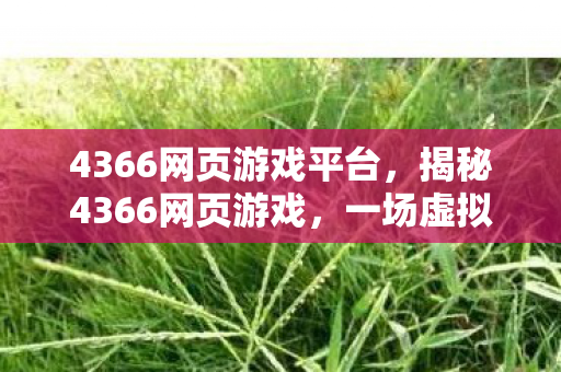 4366网页游戏平台，揭秘4366网页游戏，一场虚拟世界的冒险之旅
