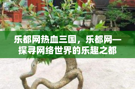 乐都网热血三国，乐都网—探寻网络世界的乐趣之都