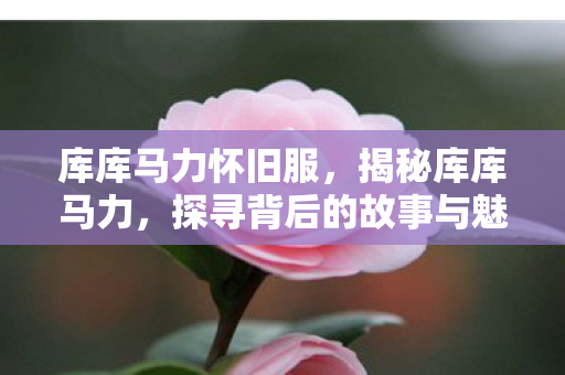 库库马力怀旧服，揭秘库库马力，探寻背后的故事与魅力