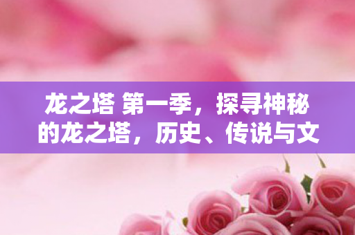 龙之塔 第一季，探寻神秘的龙之塔，历史、传说与文化的交融之地