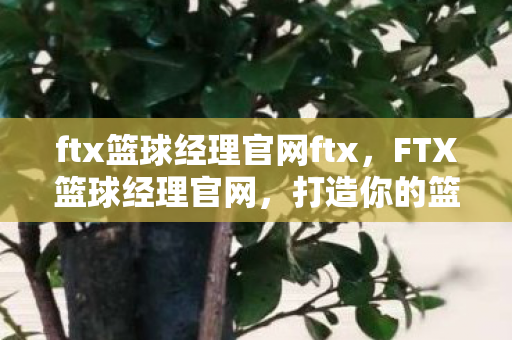 ftx篮球经理官网ftx，FTX篮球经理官网，打造你的篮球帝国