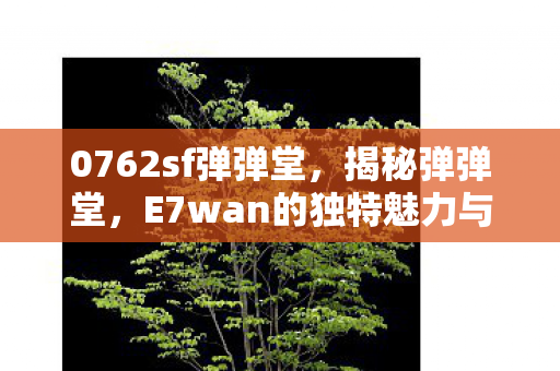 0762sf弹弹堂，揭秘弹弹堂，E7wan的独特魅力与游戏策略