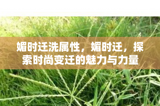 媚时迁洗属性，媚时迁，探索时尚变迁的魅力与力量