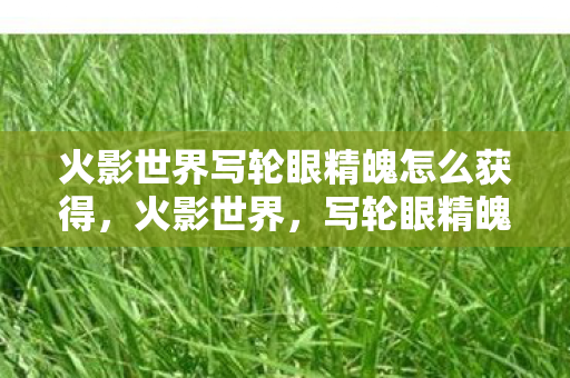 火影世界写轮眼精魄怎么获得，火影世界，写轮眼精魄的奥秘