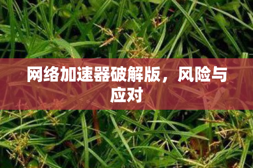 网络加速器破解版，风险与应对