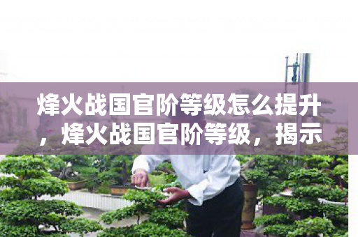 烽火战国官阶等级怎么提升，烽火战国官阶等级，揭示战国时代的权力巅峰