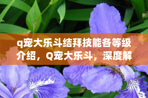 q宠大乐斗结拜技能各等级介绍，Q宠大乐斗，深度解析游戏中的结拜系统