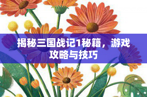 揭秘三国战记1秘籍，游戏攻略与技巧