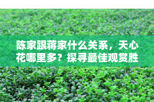 陈家跟蒋家什么关系，天心花哪里多？探寻最佳观赏胜地