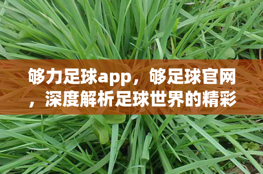 够力足球app，够足球官网，深度解析足球世界的精彩瞬间