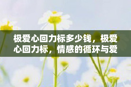 极爱心回力标多少钱，极爱心回力标，情感的循环与爱的力量