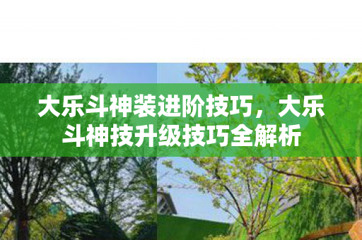 大乐斗神装进阶技巧，大乐斗神技升级技巧全解析