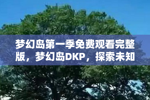 梦幻岛第一季免费观看完整版，梦幻岛DKP，探索未知，追寻梦想