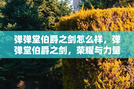 弹弹堂伯爵之剑怎么样，弹弹堂伯爵之剑，荣耀与力量的象征