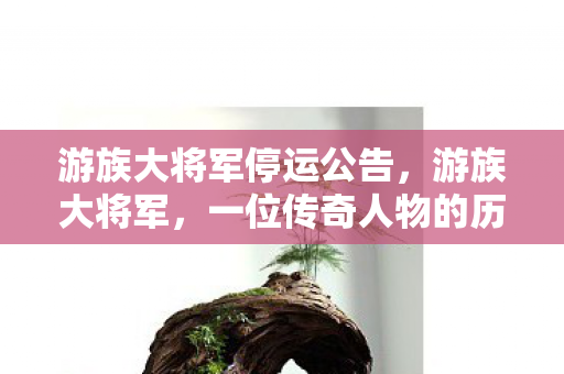 游族大将军停运公告，游族大将军，一位传奇人物的历史之旅