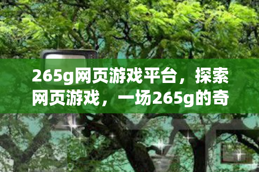265g网页游戏平台，探索网页游戏，一场265g的奇妙冒险