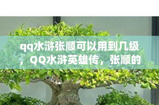 qq水浒张顺可以用到几级，QQ水浒英雄传，张顺的传奇故事